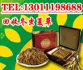 北京回收冬虫夏草15011252186回收东阿阿胶回收海参
