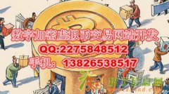 数字加密虚拟币交易网站开发