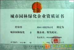 房地产开发暂定资质代办