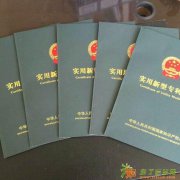 上海松江注册公司