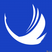 贵州保利大宗商品招商