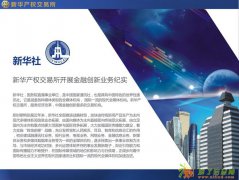 新华产权打包模式招代理