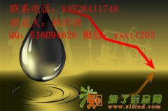 新华产权代理模式