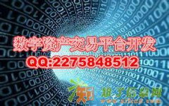 深圳数字资产交易平台开发公司