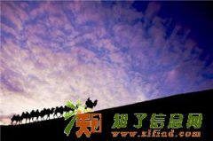 加入我们的微信分销系统开发定制之彩云之旅