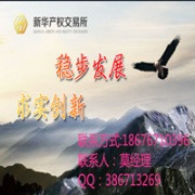 新华产权交易所投资