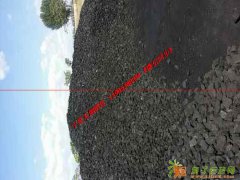 优质无烟煤销售，精无烟煤出售，纯无烟煤销售，宁夏无烟煤出售