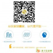 怎么加入微盘微交易代理,微盘经纪人怎么赚钱