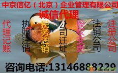 如何快速办理吊销转注销流程