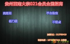 你不得你做的好平台贵州西南大宗招商