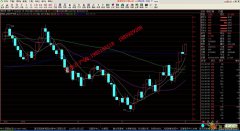 山东寿光果菜现货市场现货开户在线行情指导