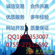 深圳外贸网站建设-网站修改-二次开发网络推广