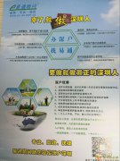 易通顾问一对一指导、办理深圳户口，积分入户