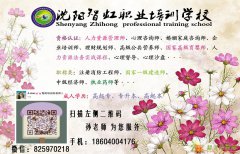 辽宁高级育婴师培训报考 理论技能一步到位
