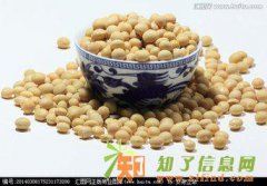 新商所大豆代理