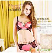 代理向大大内衣成就你的创业梦