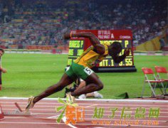 新华商品上外汇代理