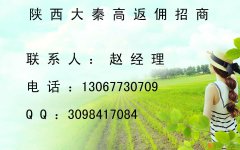 小事成就大事，细节成就完美，陕西大秦招商