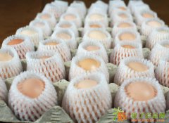 芦花鸡价格,芦花鸡养殖,土鸡蛋价格