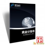 代写商业计划书 专业路演PPT制作 融资方案