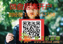 大连再生微盘如何代理