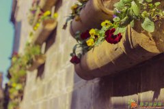 海曙业余制哪里有摄影兴趣爱好基础培训班/宁波摄影师培训费用多