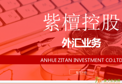 稳定收益 外汇业务 不可错过