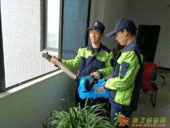 木地板怎么会出现白蚂蚁的？白蚁会伤人吗？该怎么消灭跟预防？