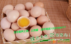 芦花鸡养殖,土鸡蛋价格,土鸡蛋购买,土鸡养殖,土鸡价格