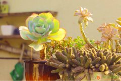 宁波产品摄影入门技巧培训学校/宁波商业摄影培训哪里好