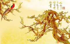 央视报道郑师傅发明冰晶画设备心酸坎坷路