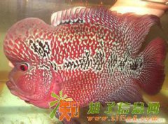 水族馆全国连锁加盟