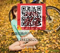 大连再生微盘怎样代理