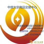 中部大宗微交易，诚招运营中心和会员单位