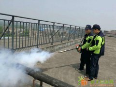 有老鼠，有蟑螂 担心环境卫生影响家人健康 找战虫卫士