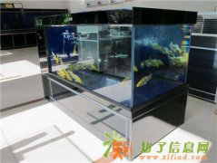 鱼管家水族馆全国加盟