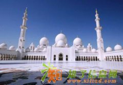 新华商品交易所招商