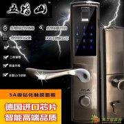 安徽五指山智能指纹锁厂家招商加盟