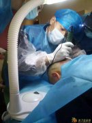 毛发移植培训要多少钱