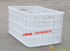 厂家供应塑料周转筐530*360*295西红柿专用筐