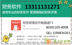 T3用友财务软件