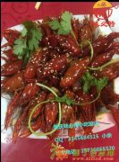 十三香小龙虾培训 绝味鸭脖 炒田螺 油炸小吃培训