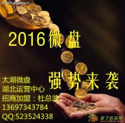 微盘选择哪家比较好?太湖微盘全国直招会员加盟代理