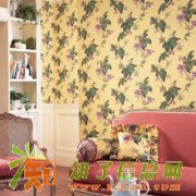 天河区壁纸、壁布想要更洁净清新，就赶紧来电康洁