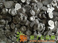 上期上门回收钨钢、废镍