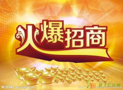 让你高枕无忧的现货投资大交所现货招商