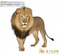 收购公司名下的小车指标 收小规模一般人科技商贸公司