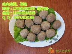 肉丸培训/潮汕肉丸培训/学做潮汕肉丸