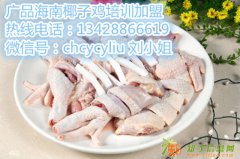 海南椰子鸡培训学校哪家好，海南椰子鸡培训哪家专业