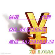 甘肃西瑞银代理